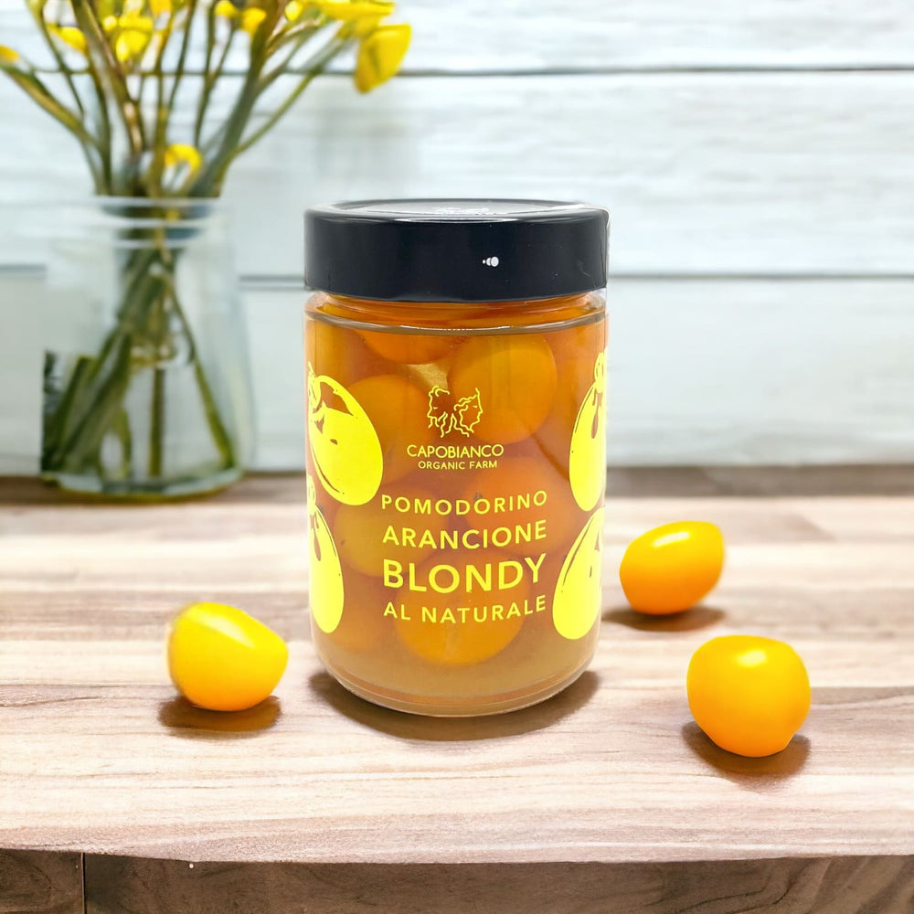 Tomates cerises oranges variété Blondy biologiques cueillies à la main lorsqu'elles sont complètement mûres, lavées et emballées avec de l'eau et du sel dans des bocaux en verre.