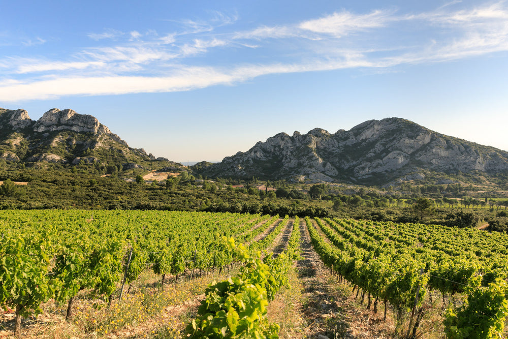 Le Domaine de la Vallongue - Terroir Bio de Provence