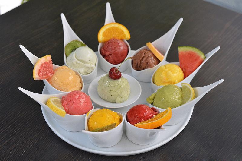 Assortiment de glaces et sorbets artisanaux Terre Adélice aux fruits frais, présentés dans des coupelles élégantes avec garnitures naturelles