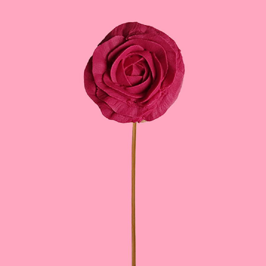 Biscuit Fleur Rose | 20g