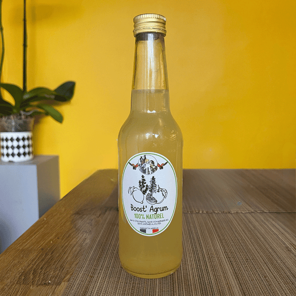 Infusion Glacée Boost'Agrum | 33cl
