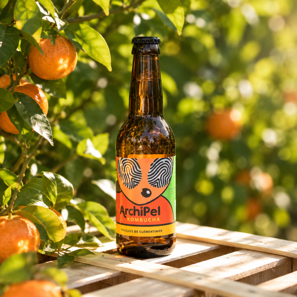 Kombucha aux feuilles de clémentinier Archipel en bouteille de 33 cl, présenté au milieu de clémentiniers.