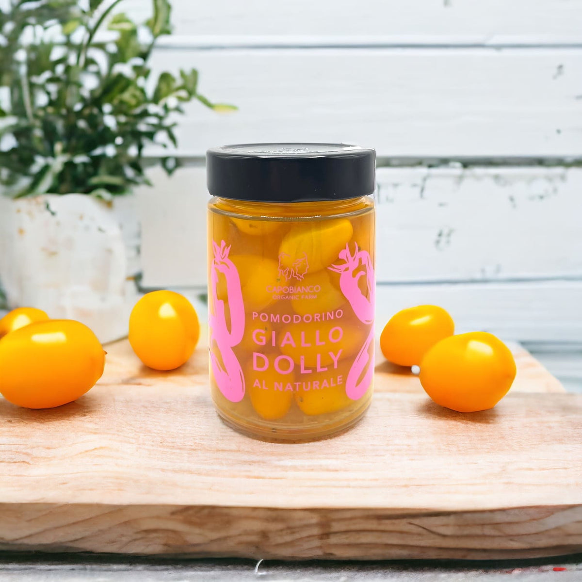 Tomates cerises jaunes variété Dolly biologiques cueillies à la main lorsqu'elles sont complètement mûres, lavées et emballées avec de l'eau et du sel dans des bocaux en verre.