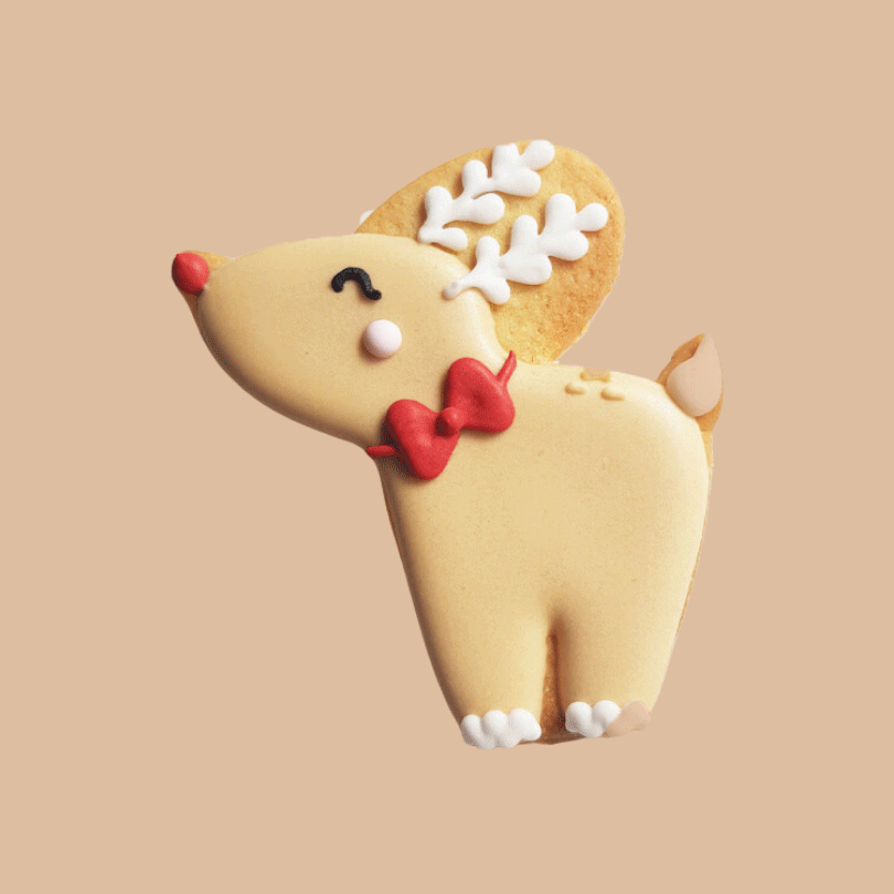 Biscuit Renne de Noël | 25g